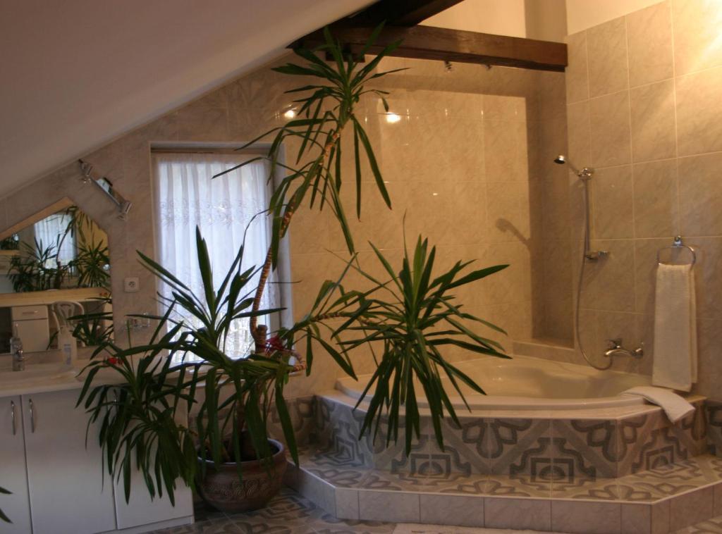 Appartement Exclusif